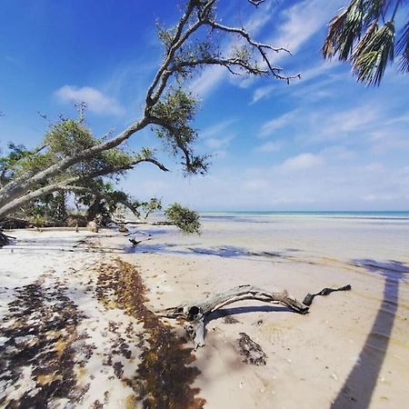 Tortuga Tillys Cape San Blas المظهر الخارجي الصورة