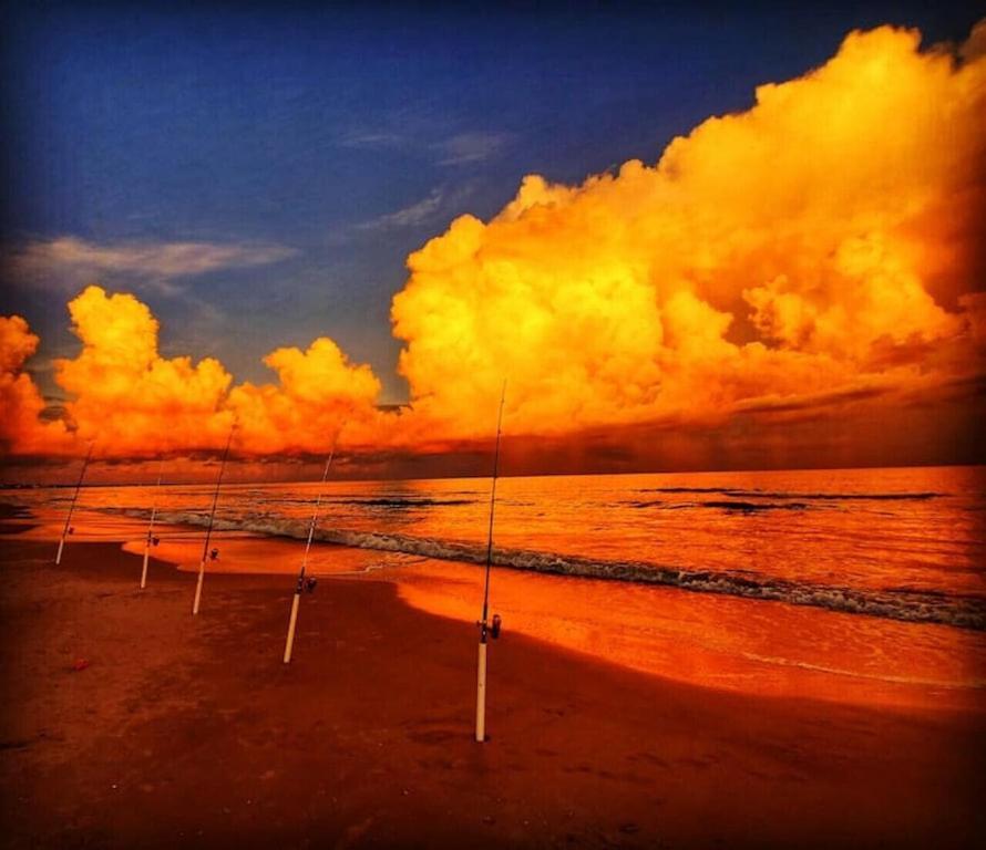 Tortuga Tillys Cape San Blas المظهر الخارجي الصورة