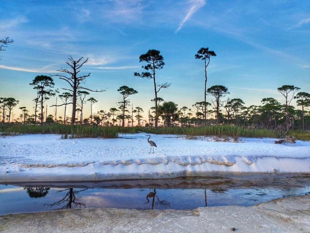 Tortuga Tillys Cape San Blas المظهر الخارجي الصورة