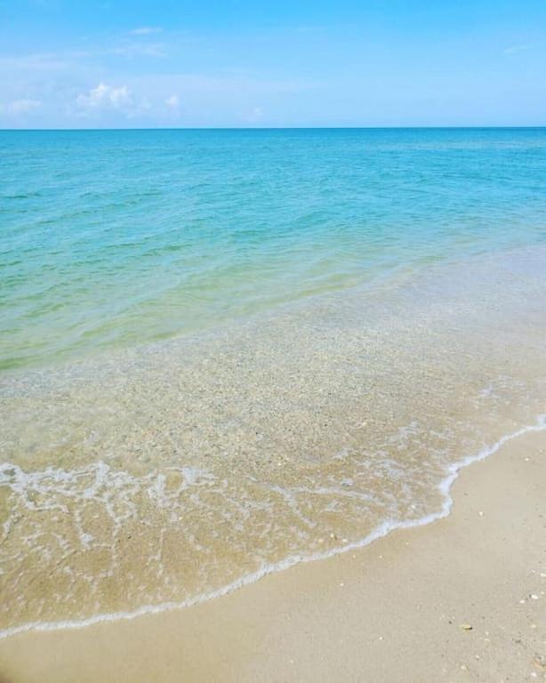 Tortuga Tillys Cape San Blas المظهر الخارجي الصورة