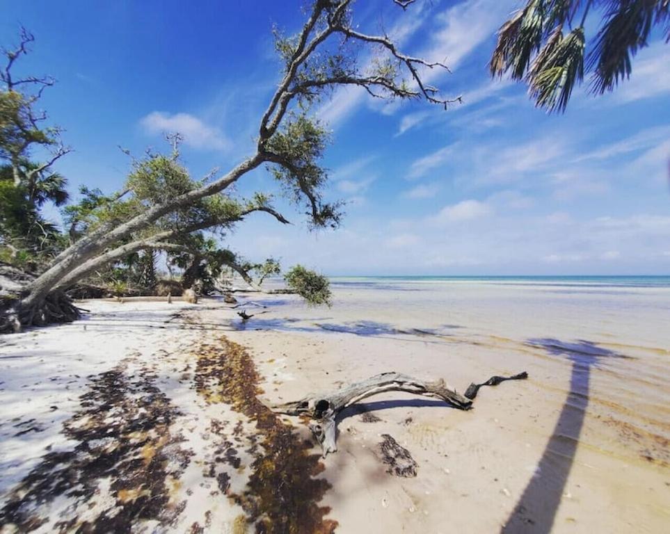 Tortuga Tillys Cape San Blas المظهر الخارجي الصورة